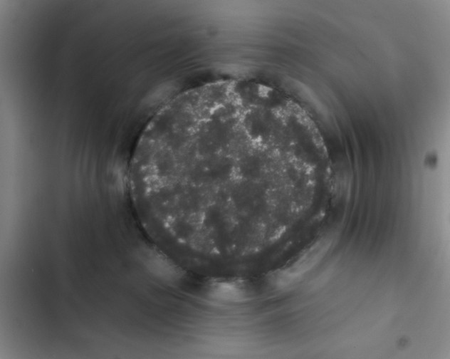 X0000102810285200809150959