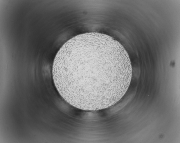 X0000102810286200809150959