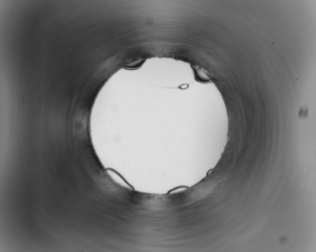 X0000102810288200809150959