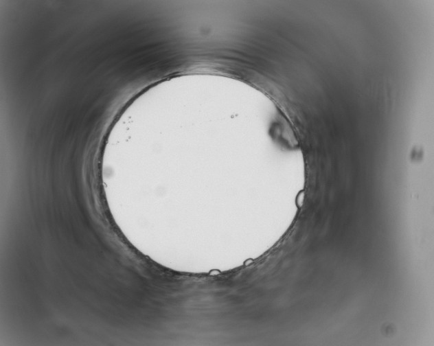 X0000102810289200809150958