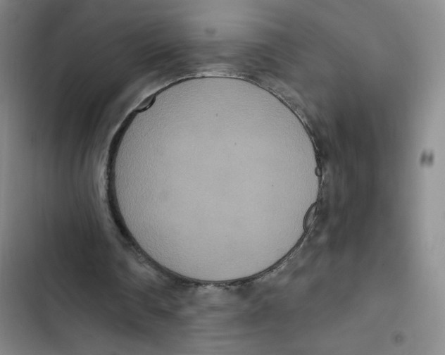 X0000102810290200809150958