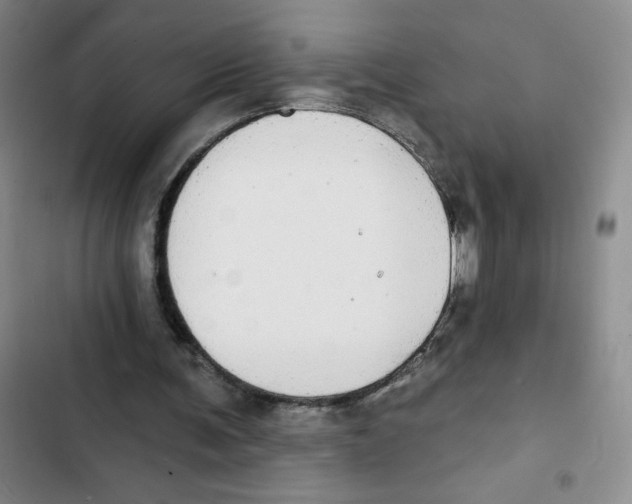 X0000102810291200809150958