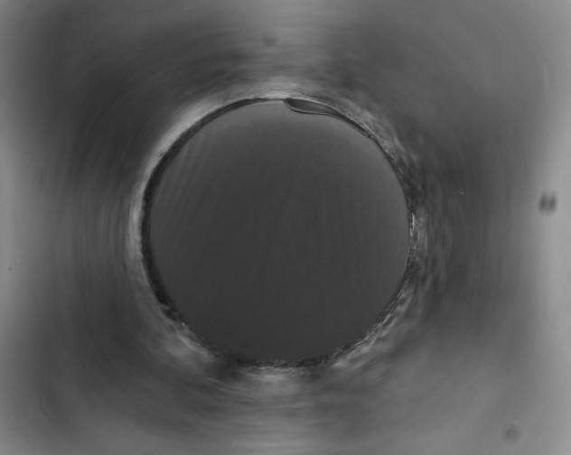 X0000102810292200809150958