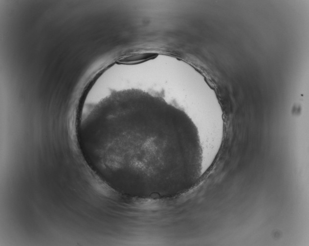 X0000102810293200809150958