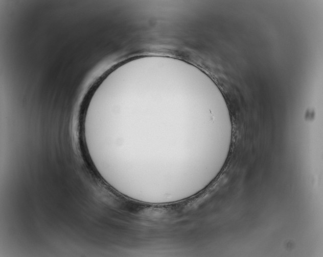 X0000102810294200809150958