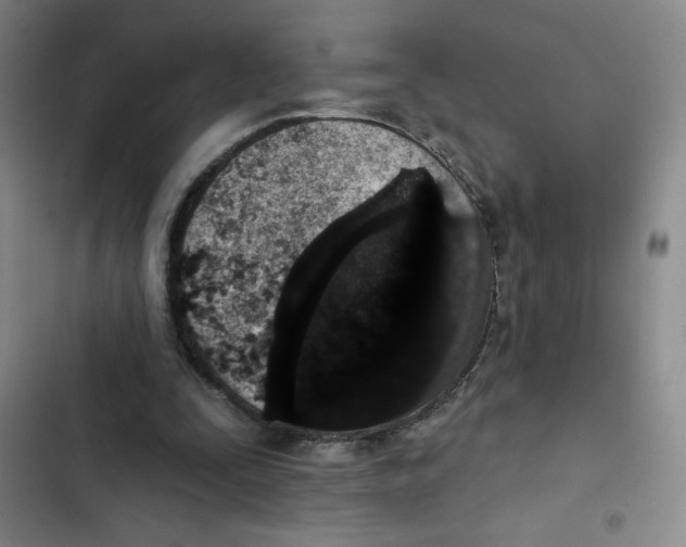 X0000102810295200809150958