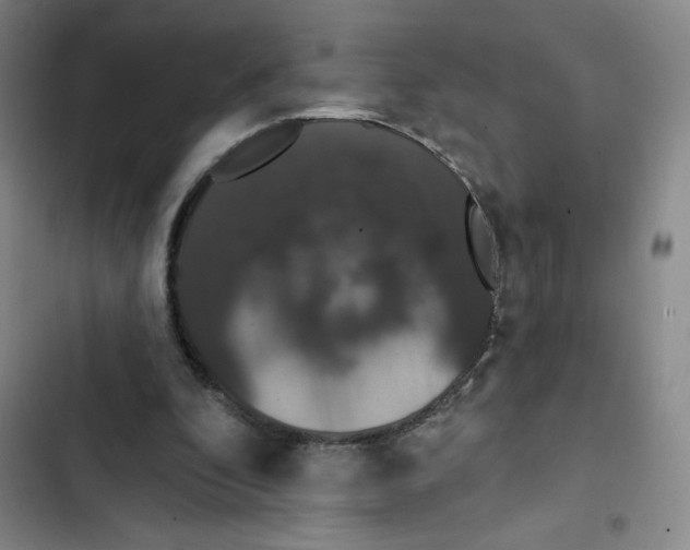 X0000102810296200809150958