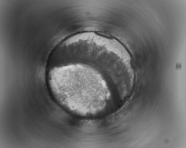 X0000102810297200809150958