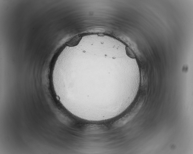 X0000102810300200809150958