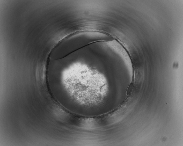 X0000102810301200809150958