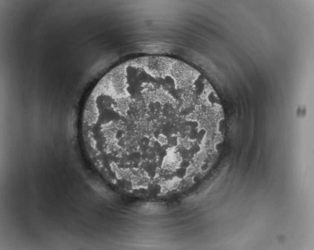 X0000102810303200809150958