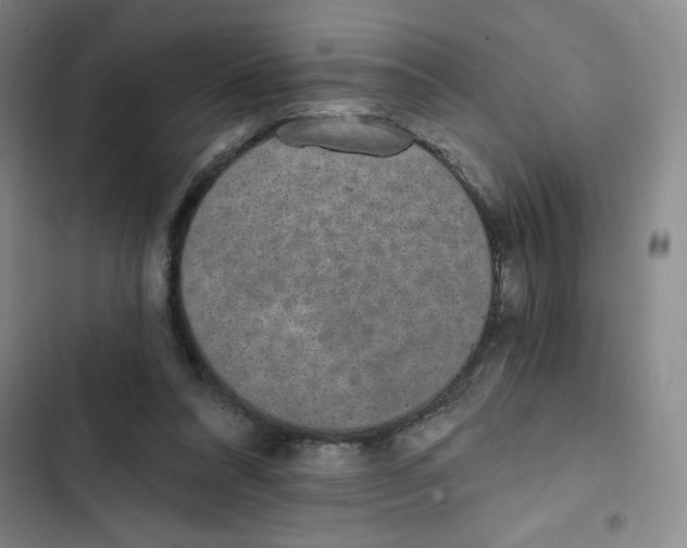 X0000102810304200809150958