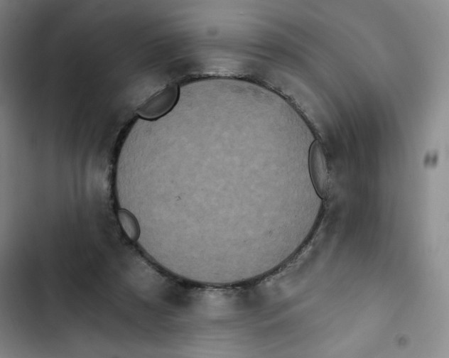 X0000102810305200809150958