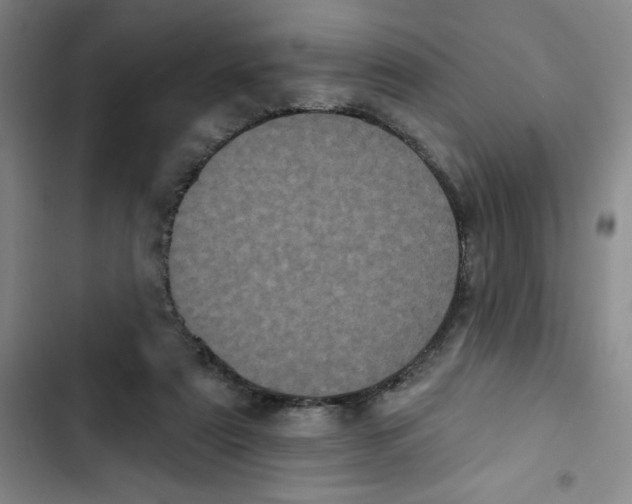 X0000102810307200809150958