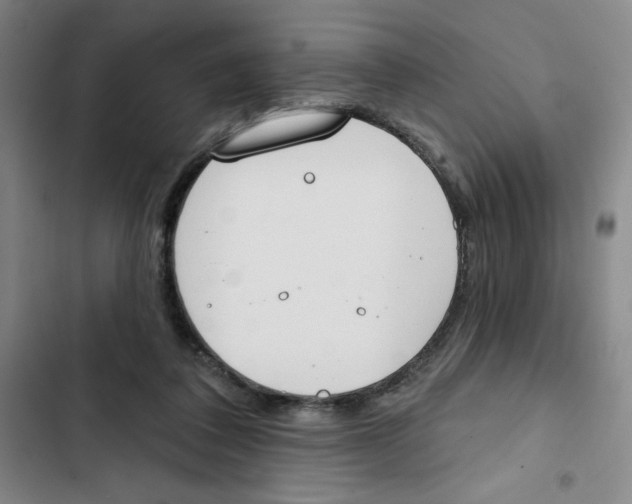 X0000102810308200809150958