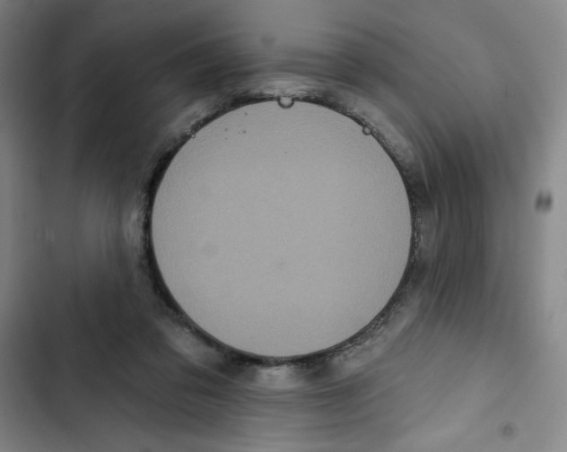 X0000102810309200809150958