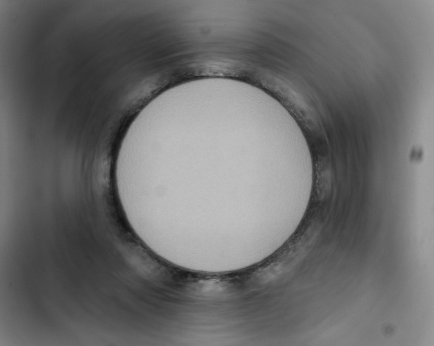 X0000102810310200809150958