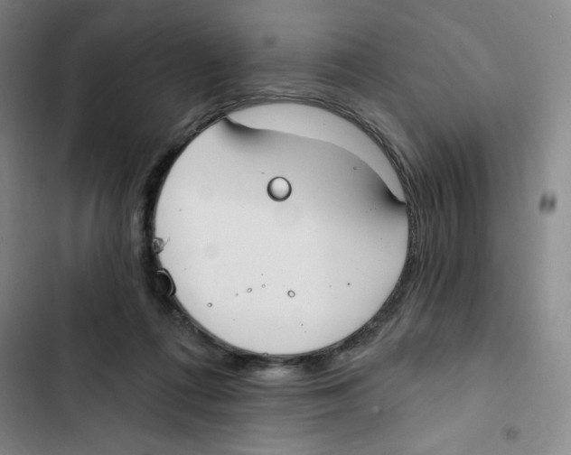 X0000102810312200809150958