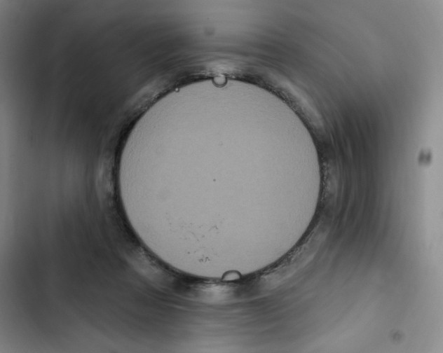 X0000102810313200809150957