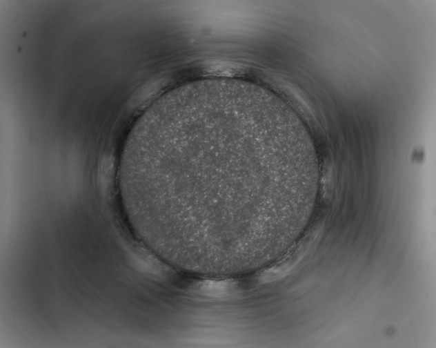 X0000102810314200809150957