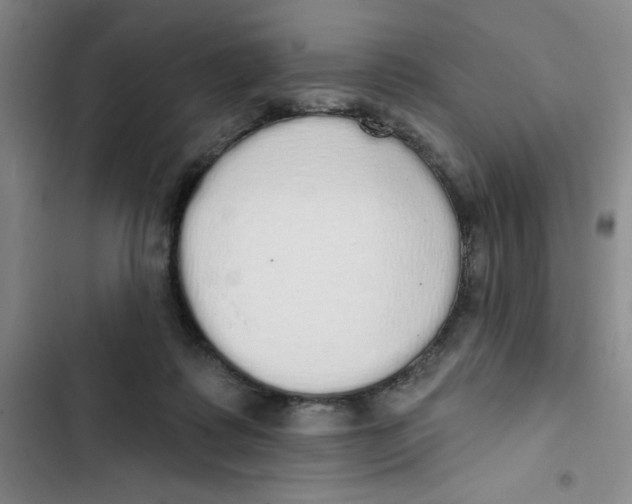 X0000102810315200809150957