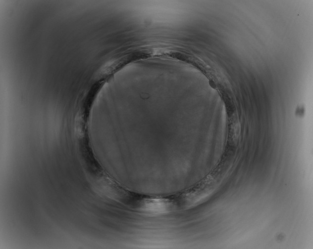 X0000102810316200809150957