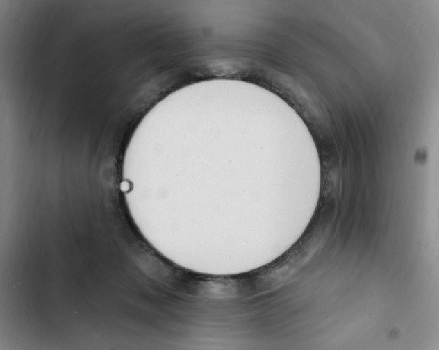 X0000102810317200809150957