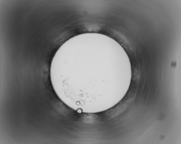 X0000102810321200809150957