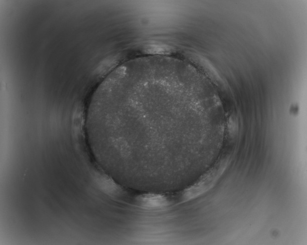 X0000102810322200809150957