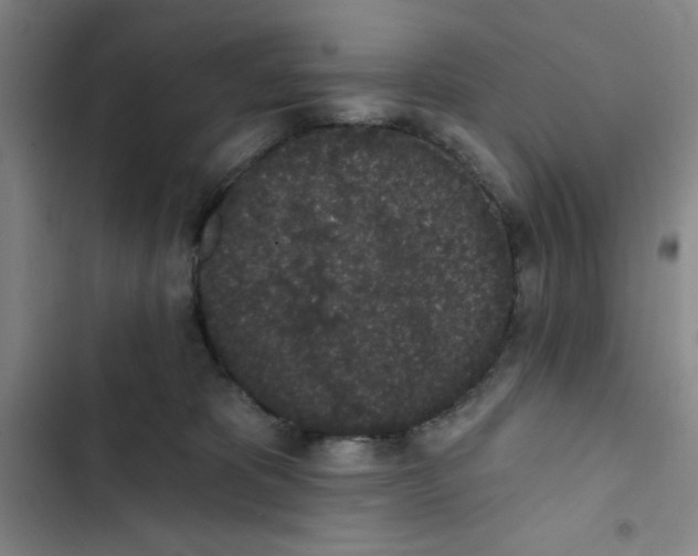 X0000102810325200809150957