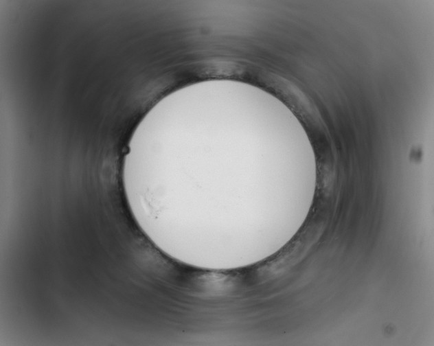 X0000102810326200809150957