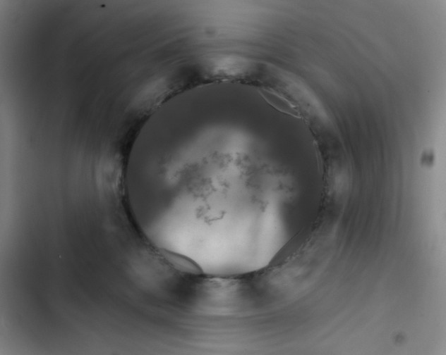 X0000102810328200809150957