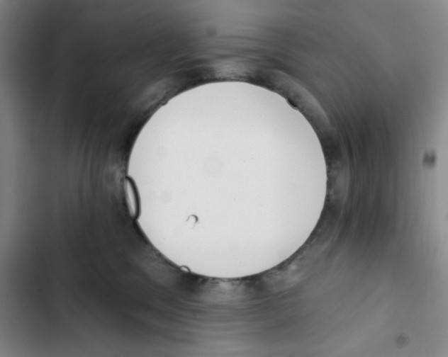 X0000102810329200809150957