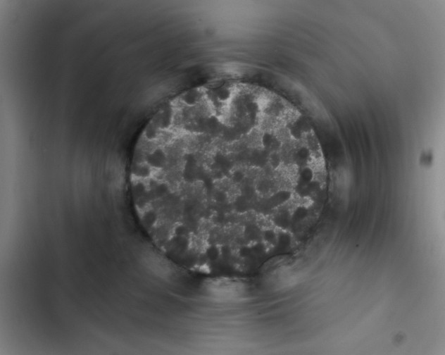 X0000102810331200809150957