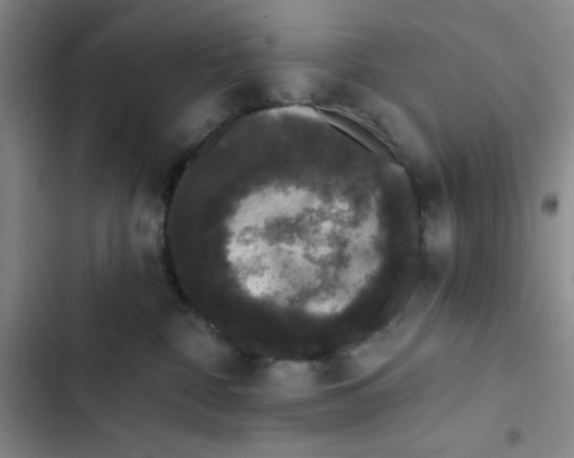 X0000102810332200809150957