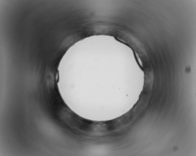 X0000102810333200809150957