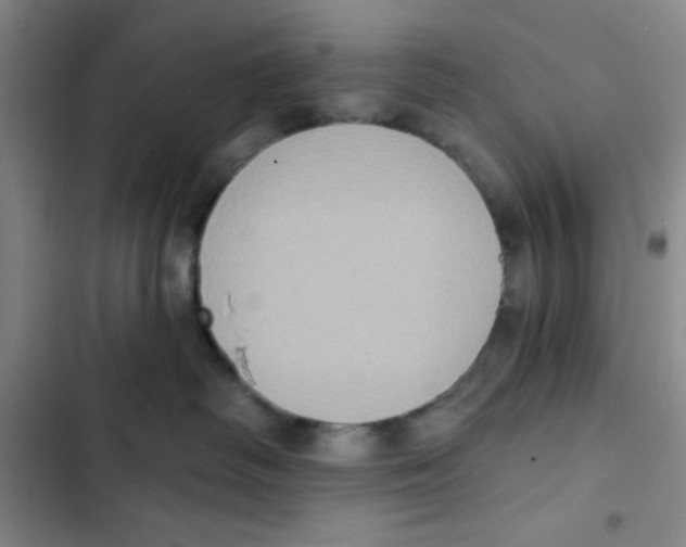 X0000102810334200809150957