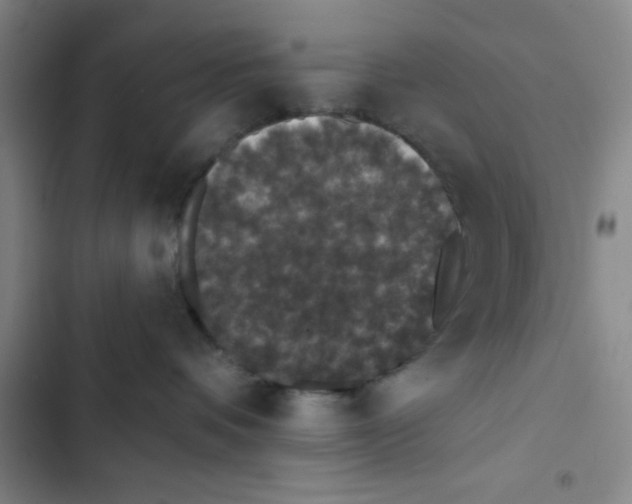 X0000102810336200809150957