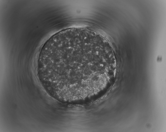 X0000102810337200809150956