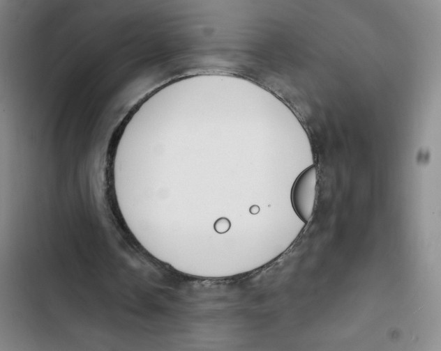 X0000102810338200809150956