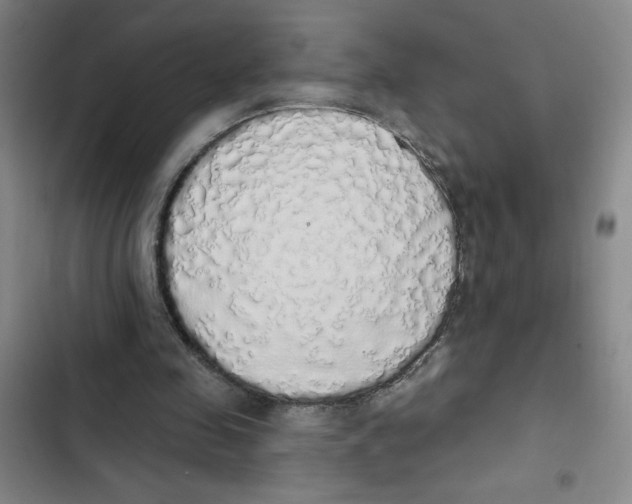 X0000102810341200809150956