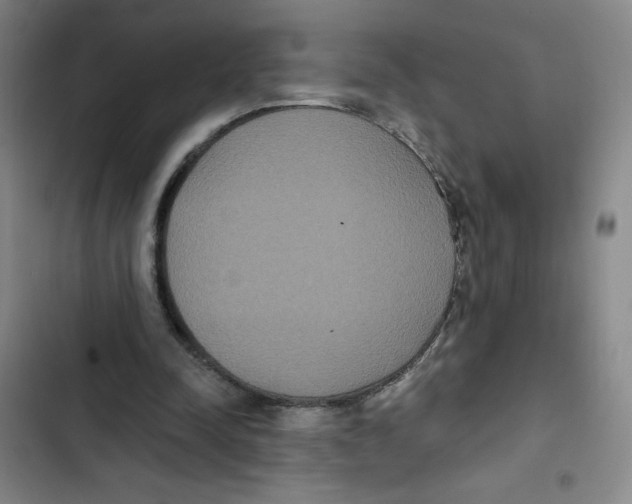 X0000102810342200809150956