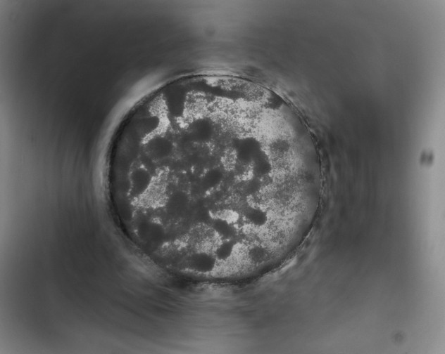 X0000102810343200809150957