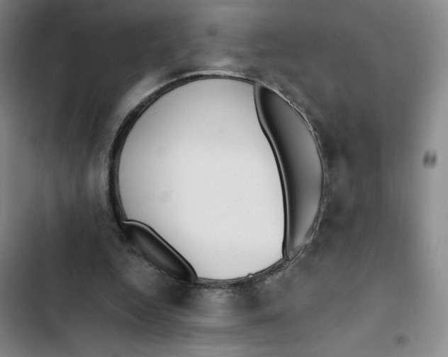 X0000102810344200809150957