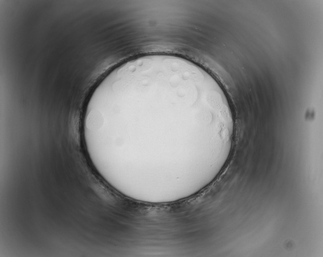 X0000102810345200809150957