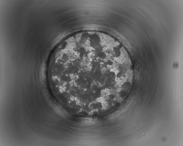 X0000102810347200809150957