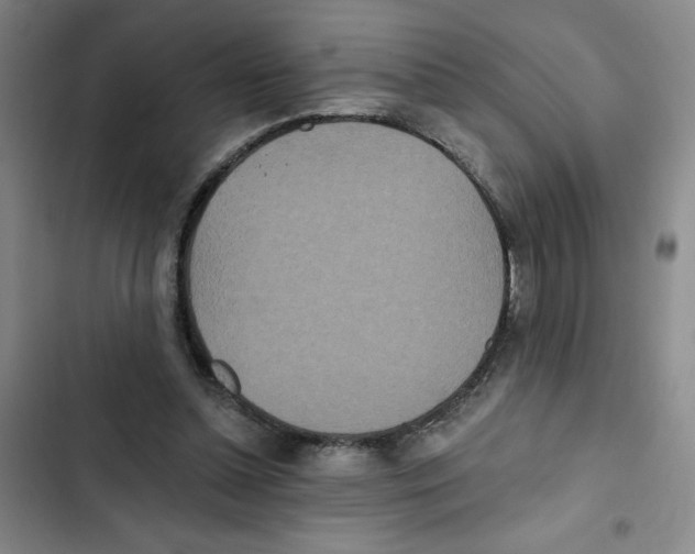 X0000102810348200809150957