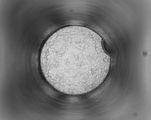 X0000102810349200809150957