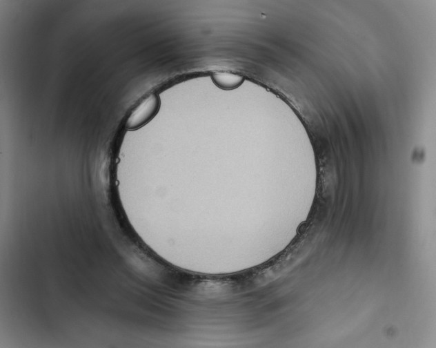 X0000102810350200809150957