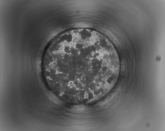 X0000102810351200809150957